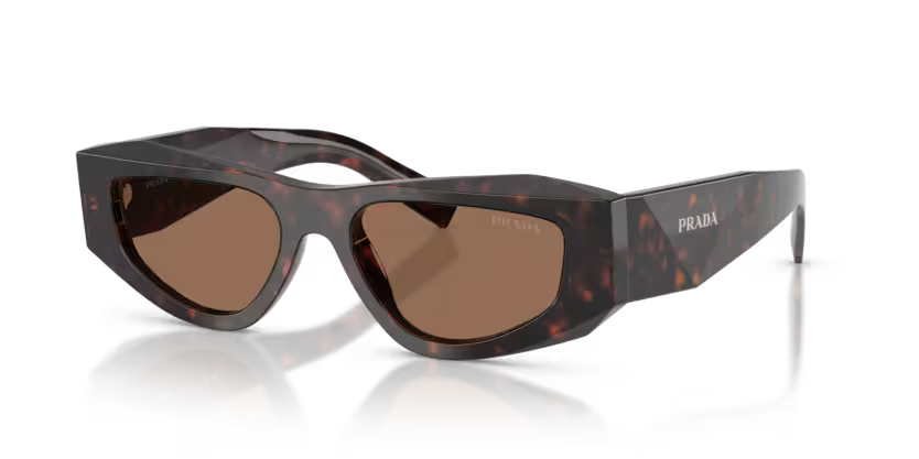 Prada 0PR_B19S - Root tortoise, Dark brown