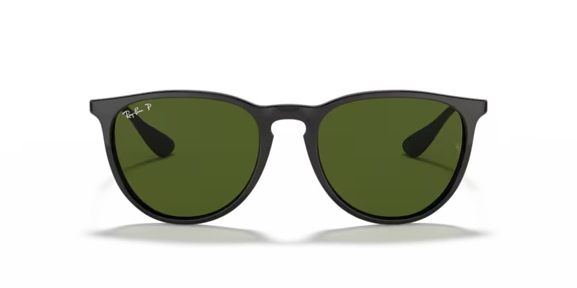 Ray-Ban Erika - Black, G-15 green polarised