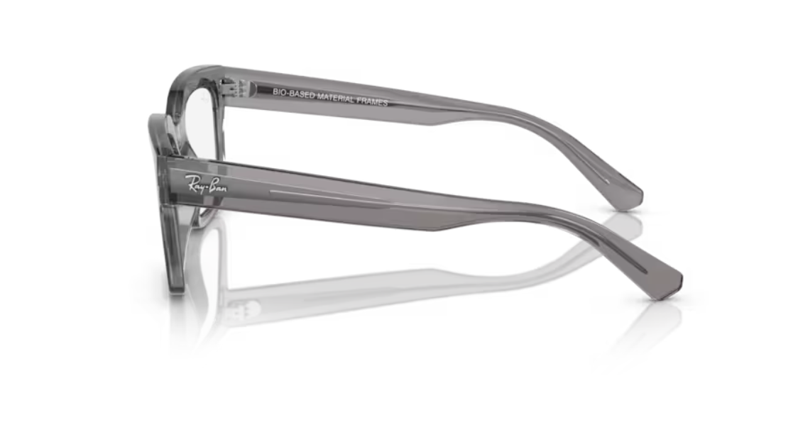 Ray-Ban Chad - Transparent grey