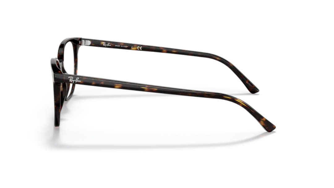 Ray-Ban Elliot - Havana