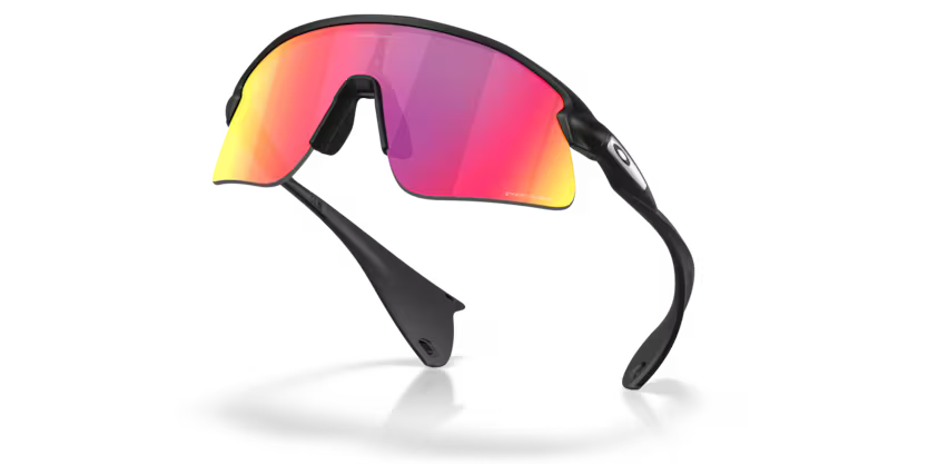 Oakley Stunt Devil - Matte black, Prizm road