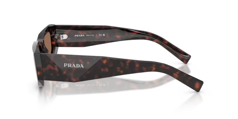 Prada 0PR_B19S - Root tortoise, Dark brown