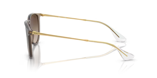 Ray-Ban Erika - Transparent light brown, Brown