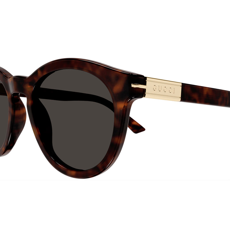 Gucci GG1501S - Havana, Brown