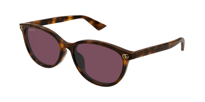 Gucci GG1818SK - Havana, violet
