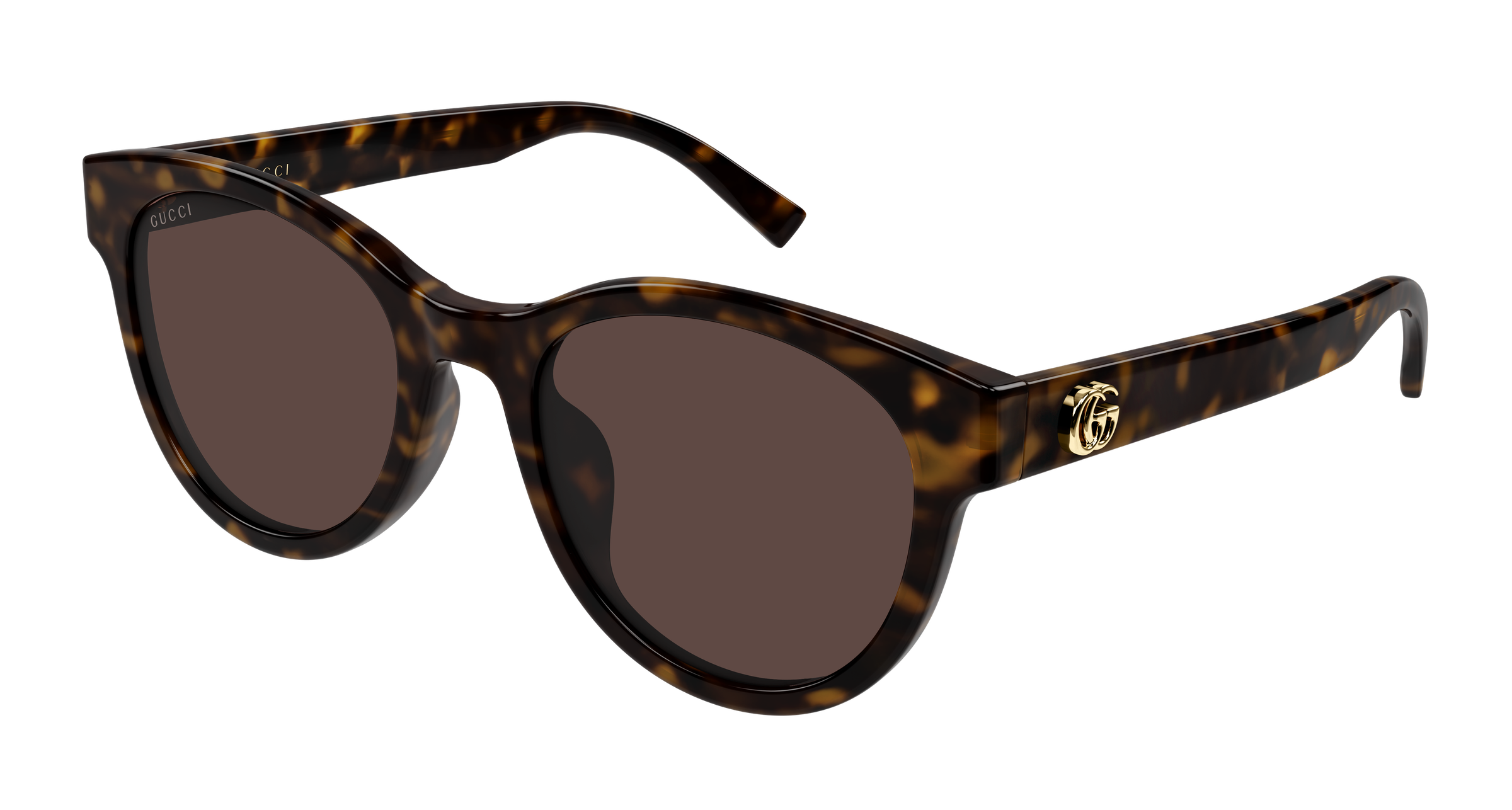 Gucci GG2127SK - Havana, Brown