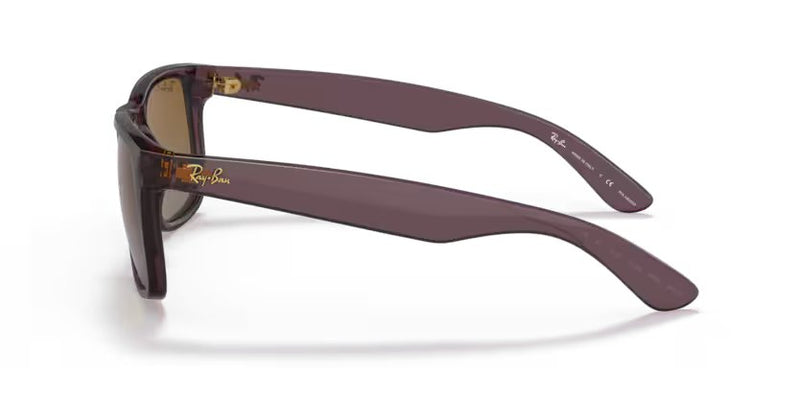 Ray-Ban Justin - Transparent dark brown, Brown polarized