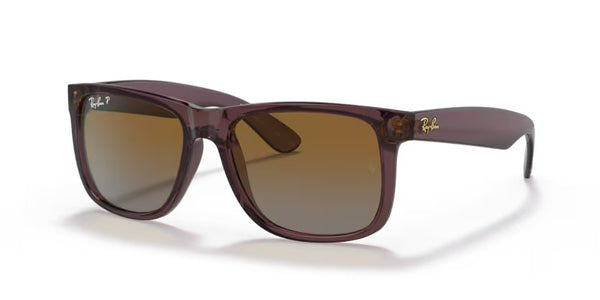 Ray-Ban Justin - Transparent dark brown, Brown polarized