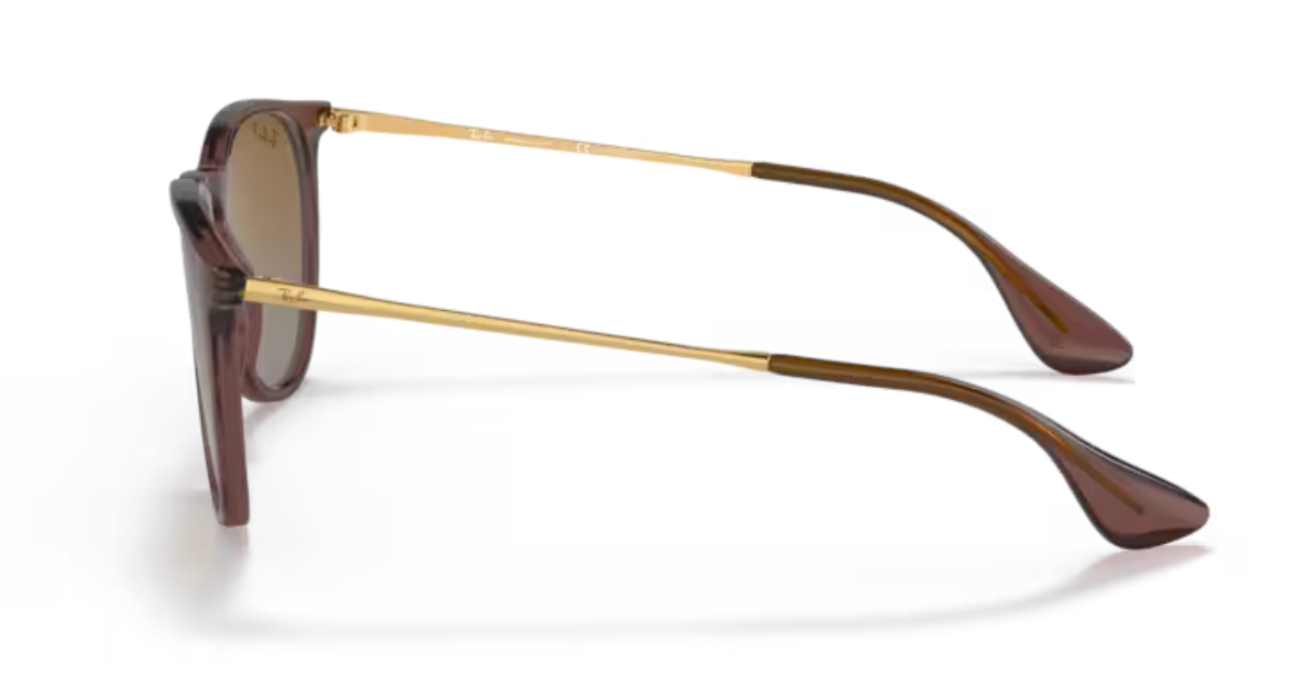 Ray-Ban Erika - Transparent dark brown, Brown gradient polarized
