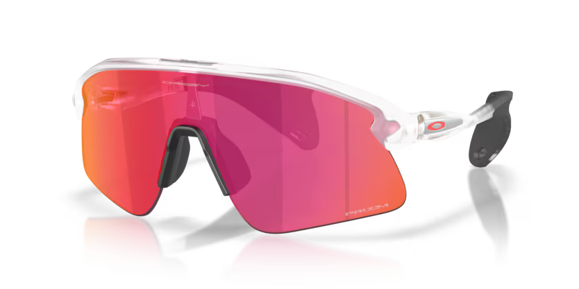 Oakley Stunt Devil - Matte black, Prizm road