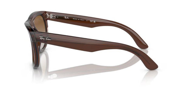 Ray-Ban Wayfarer reverse - Transparent brown, Brown