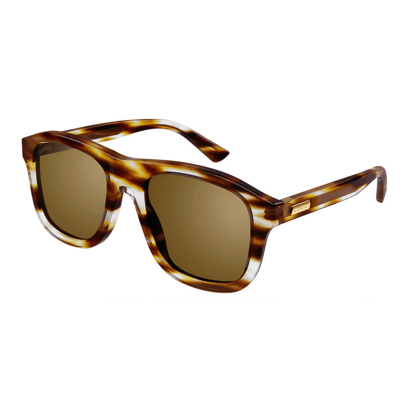 Gucci - Havana front, Bronze lens